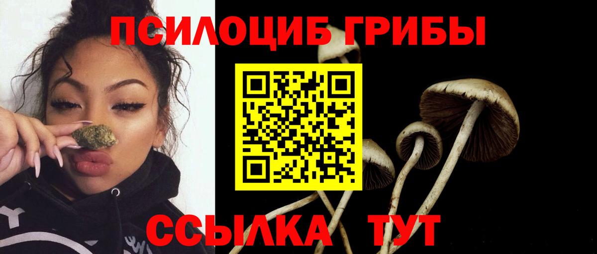 Фурманов  Псилоцибиновые грибы MAGIC MUSHROOMS  Вход с VPN 